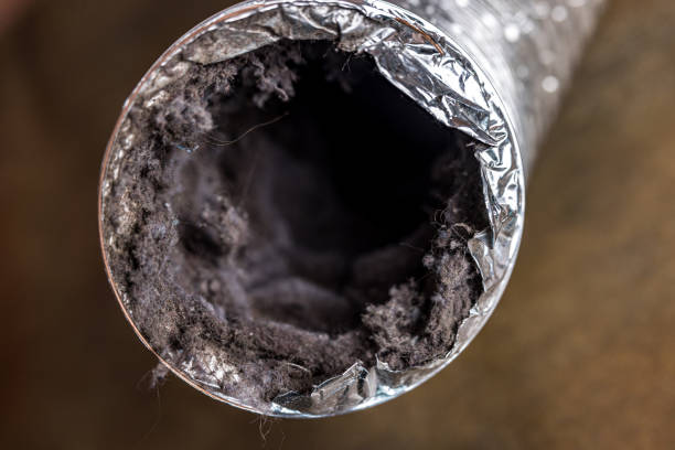 Best Home Air Vent Cleaning  in Rochester, NH